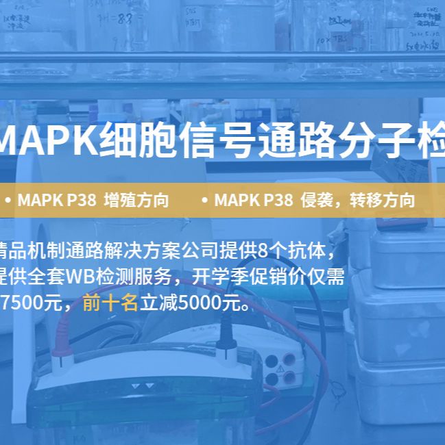 舍為斯-MAPK信號通路-精品機制通路解決方案