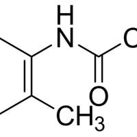 120-66-1/	 2-甲基乙酰苯,分析标准品,HPLC≥98