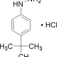 36600-66-5/ 4-叔丁基盐酸盐 , 98%