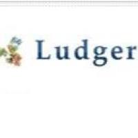 Ludger高通量甲基化检测方法