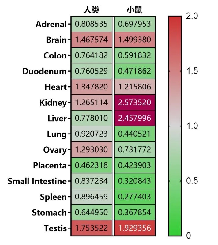代谢、心血管等疾病相关基因之SIRT3