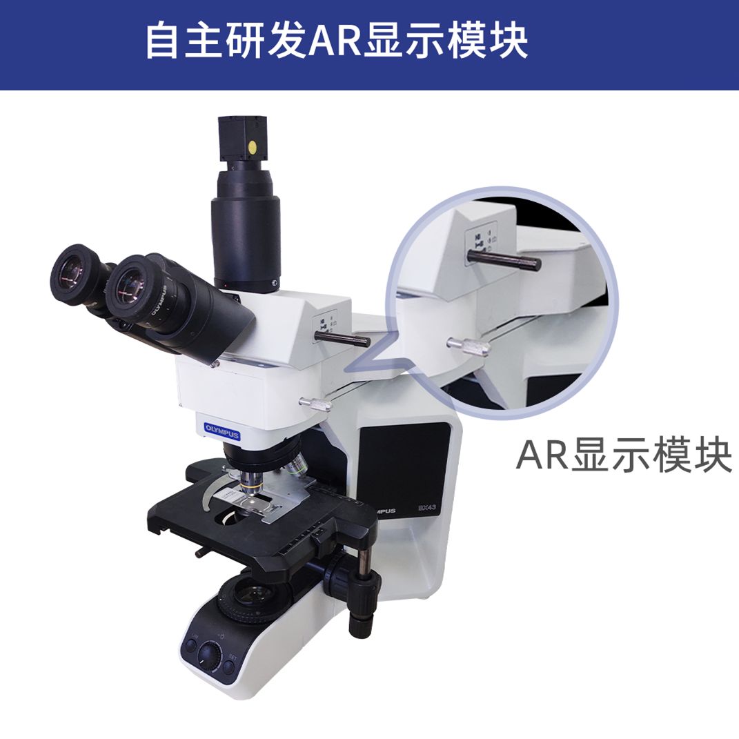 AR显微镜