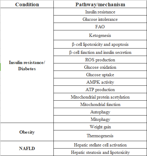 代谢、心血管等疾病相关基因之SIRT3