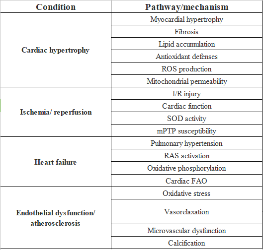 代谢、心血管等疾病相关基因之SIRT3