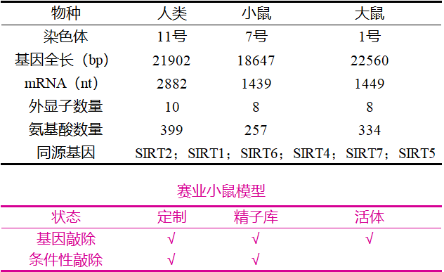 代谢、心血管等疾病相关基因之SIRT3