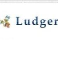 糖蛋白结构分析用多糖HPLC柱