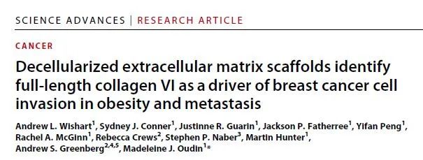 减肥新动力——Science子刊揭秘肥胖与癌症转移之间的关系