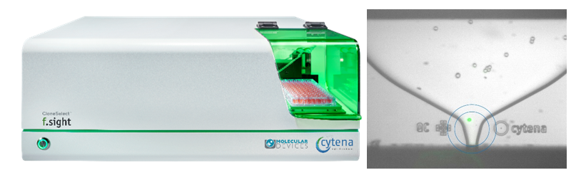 CloneSelect单细胞分离系统用于分选基因编辑的间充质干细胞