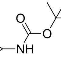 132844-48-5/	 N-BOC-环丙,	95%