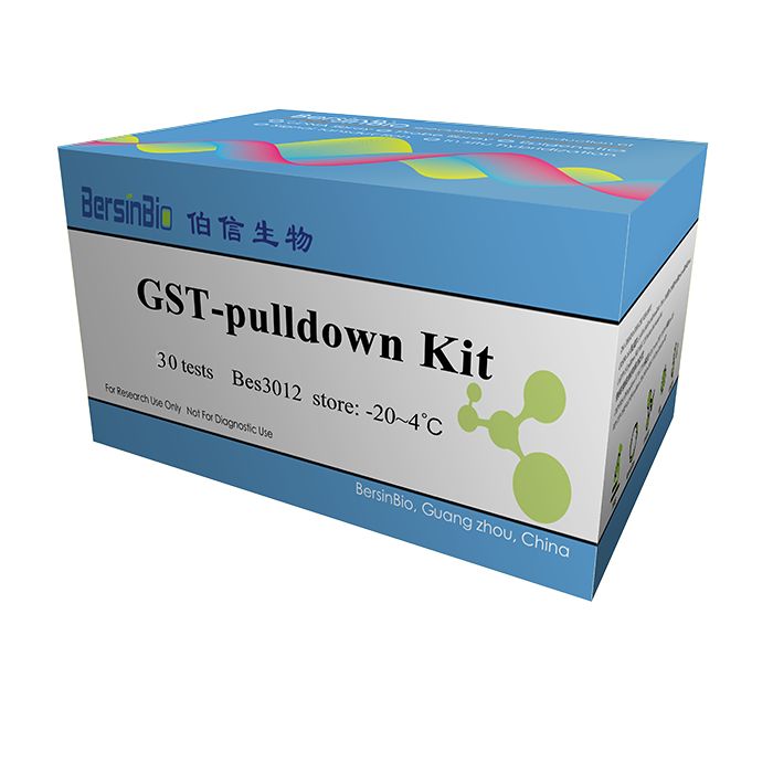 GST pulldown试剂盒（GST pulldown Kit，30T）