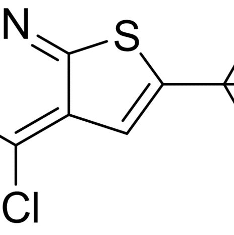 439692-55-4/6-叔丁基-4-氯-噻吩[2,3-D]嘧啶 .97%