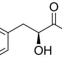 13673-95-5/	 L-3-苯基酸甲酯 ,	98%