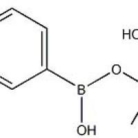 627525-83-1/4-氯-3-硼酸频呢醇酯