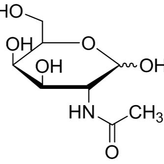 14215-68-0/ N-乙酰基-D-半乳糖胺 ,≥98%