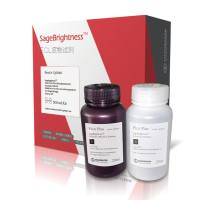 SageBrightness ECL 底物液