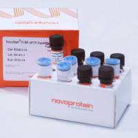 荧光定量试剂盒 NovoStart® SYBR qPCR SuperMix Plus