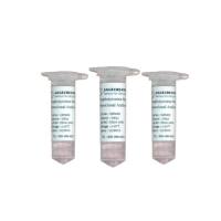 SageCreation 标签抗体和内参抗体