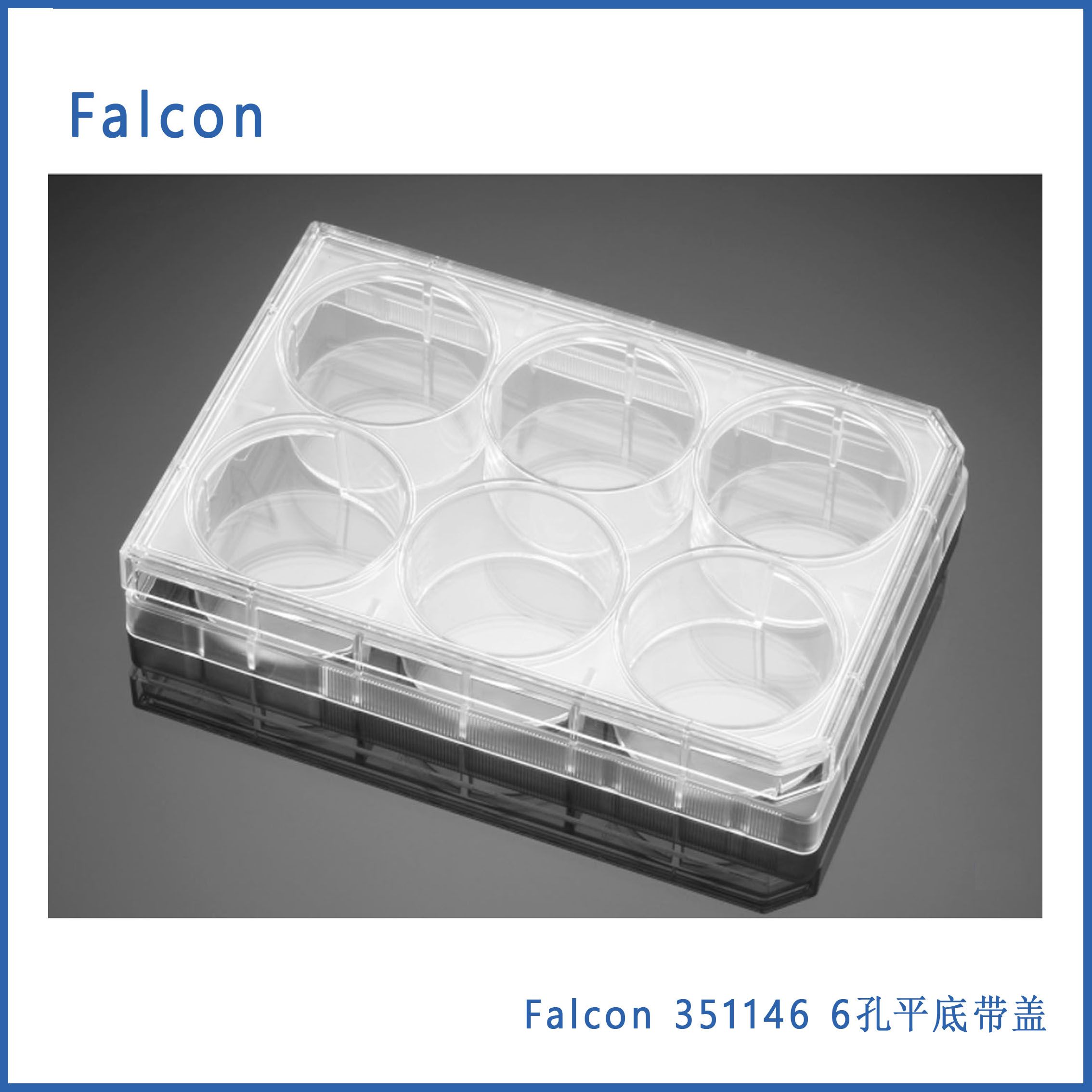  Conrning Falcon 351146 6孔平底带盖聚苯乙烯无热源  表面未处理无菌微孔板,50/箱,现货