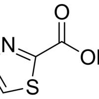 14190-59-1/ 噻唑-2-甲酸 , 97%