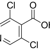 13958-93-5/3,5-二氯异烟酸,	98%