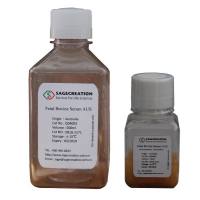 SageCreation 胎牛血清