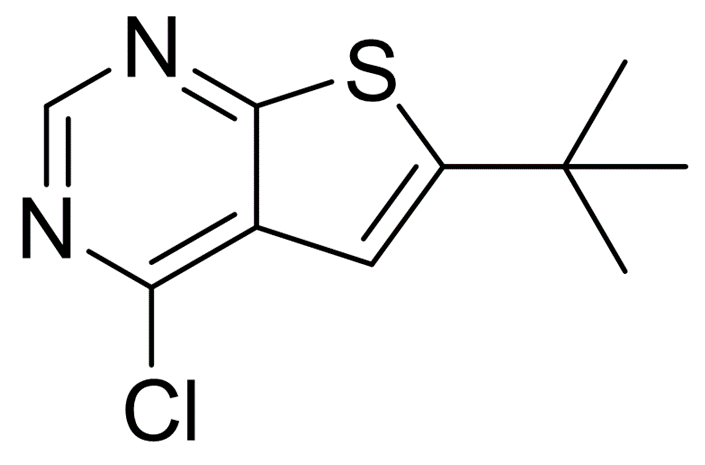439692-55-4/6-叔丁基-4-氯-噻吩[2,3-D