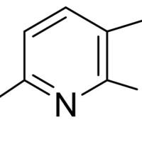 143468-13-7/	 6-溴-7-氮杂吲哚 ,	97%