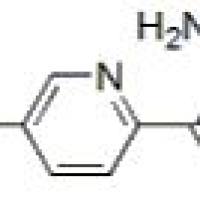 145835-01-4/5-氯-2-吡啶甲酰肼