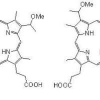 148471-91-4/	 血卟啉单甲,	≥95%