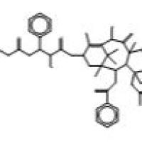 700367-34-6/多烯紫杉醇三水合物（非药典）