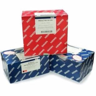 大鼠血小板第四因子测定PF4试剂盒厂家