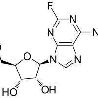 146-78-1/ 2-氟腺苷 , 98%