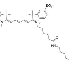  磺酸基-Cy5氨基 ,90%