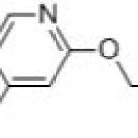 856851-45-1/	 4-氯-2-乙氧基吡啶 .	95%