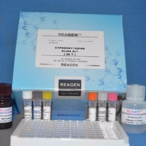 大鼠乳酸脱氢酶LDH检测elisa试剂盒