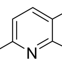 148493-37-2/ 2,6-二氯-3-碘吡啶 , 98%