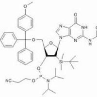 147201-04-5/	 5'-O-(4,4-二甲氧基三苯甲基)-2'-O-[(叔丁基)二甲基硅基]-N-异丁酰基鸟苷-3'-(2-基乙基-N,N-二异丙基)亚磷酰胺 ,	≥98%