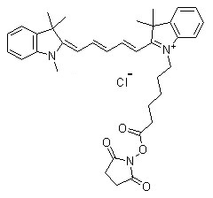 146368-14-1/ Cy5-N-羟基琥珀酰亚胺酯 ,