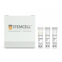  EasySep™人单核细胞分选试剂盒