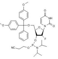 146954-75-8/	 2'-F-dU亚磷酰胺单体,	≥98%