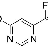 1546-78-7/	 4-羟基-6-三氟甲基嘧啶,	98%