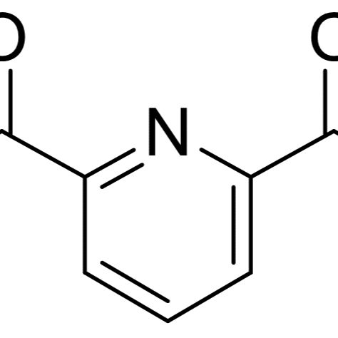 15658-60-3/2,6-吡啶二羧酸二乙酯 98%