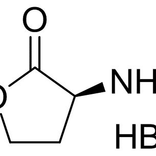 15295-77-9/ (S)-(-)-Alpha-氨基-Gamma-丁内酯酸盐 ,98%