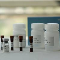 Ames预实验试剂盒