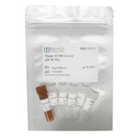 Magic SYBR Green qPCR Mix 麦伯生物qPCR试剂M223