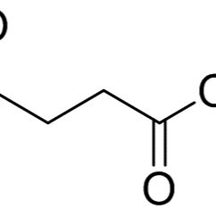 15026-17-2/ 单叔丁基琥珀酸酯 ,95%