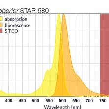 abberior STAR 580 共聚焦和超分辨荧光染料