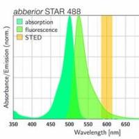 STAR 488 共聚焦和STED荧光染料