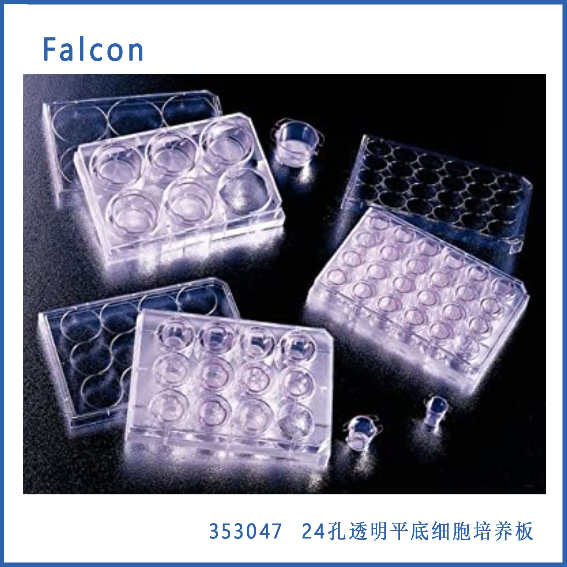 24孔细胞培养板 平底带盖 Faclon 353047 现货