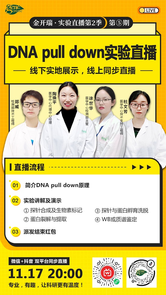 知无不“研”，DNA pull down 常见疑点解析